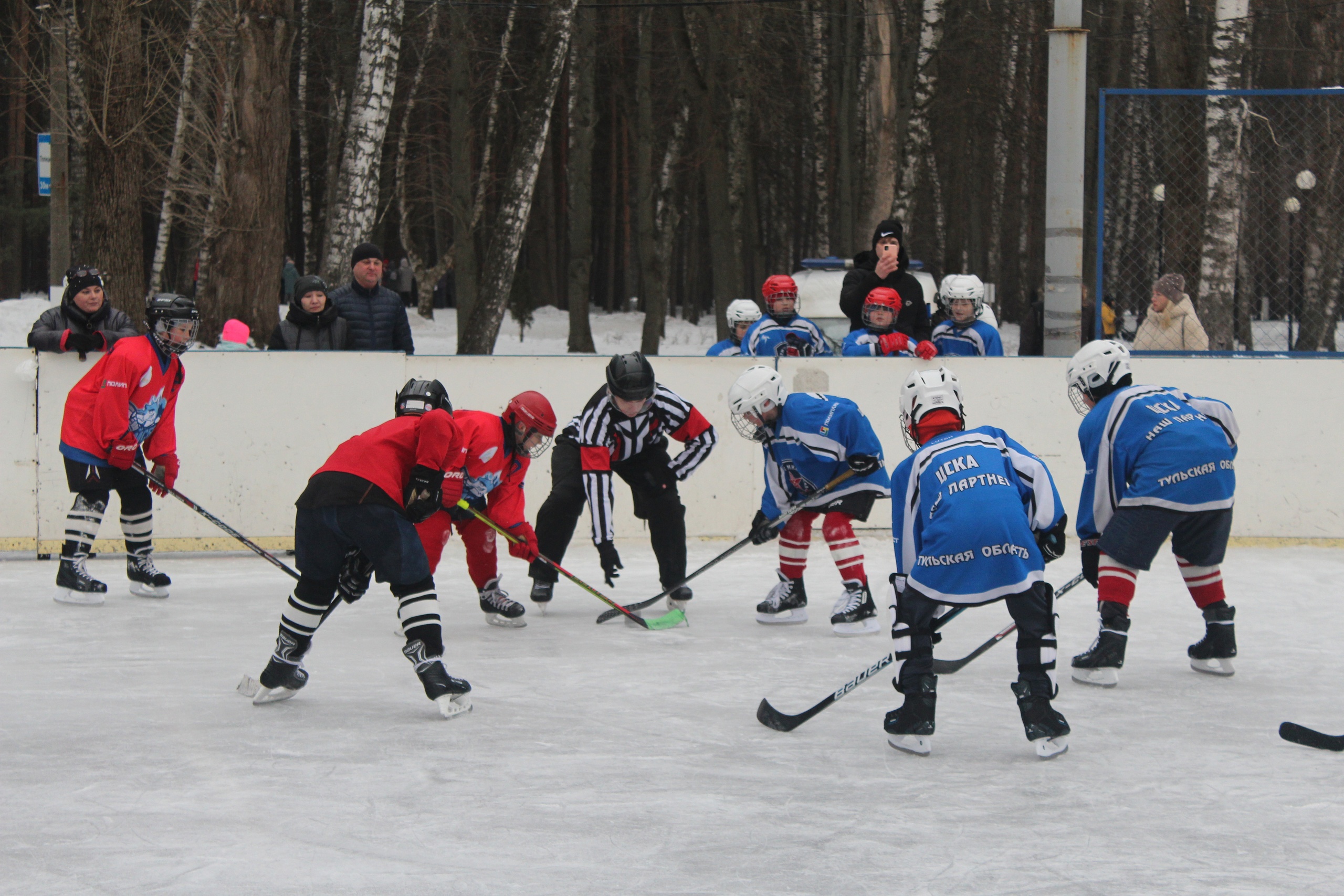 Тульская область хоккей